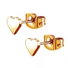 Předchozí: Zlacené ocelové náušnice srdíčka