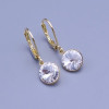 Další: Zlacené náušnice Swarovski 8mm ch.ocel výběr barev > varianta Crystal