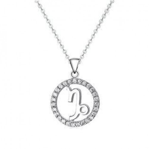 Stříbrný náhrdelník - znamení kozoroh > varianta Kozoroh