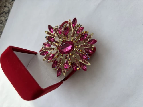 Elegantni brož zlacená