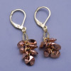 Další: Náušnice Swarovski zlacené hrozen Gold Rose